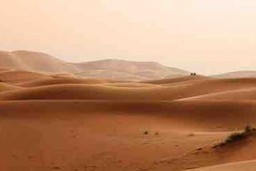 Desert and sand dunes.