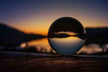 A glass ball capturing the view of nature in the background depicting the way we see life and what is actual reality.