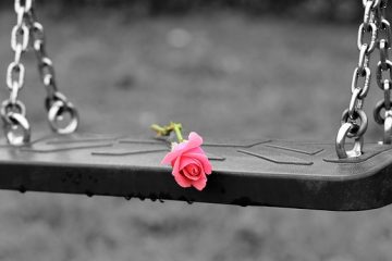 A rose lying on an empty swing depicting broken love, sorrow, and misery.