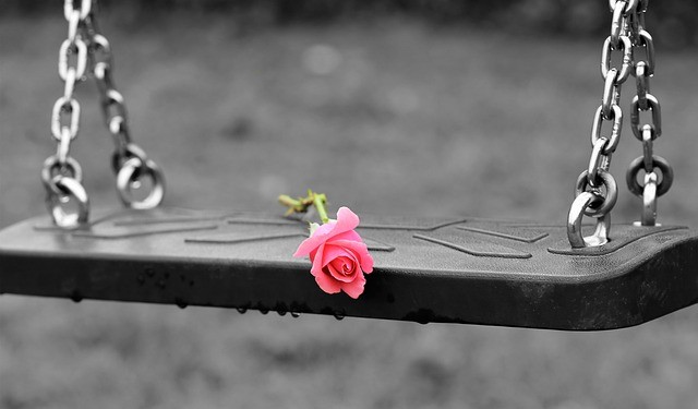 A rose lying on an empty swing depicting broken love, sorrow, and misery.