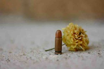 A bullet and a flower side by side showcasing the lost and broken love, and misery.