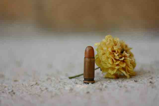 Songs about depression. A bullet and a flower side by side showcasing the lost and broken love, and misery.