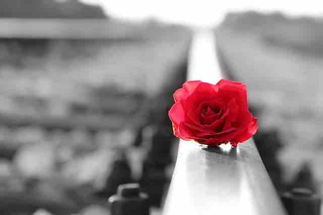 A red rose on the railway track symbolising broken love, pain, misery, and time to move on.