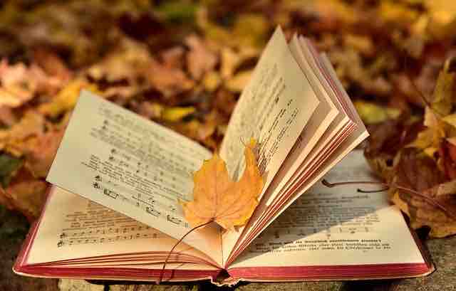 An open book with a leaf in between the pages turning back and forth depicting emotions, thoughts about past, and current life.