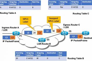 Multiprotocol Label Switching (MPLS) flow and related terms