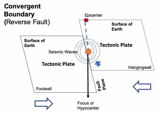 Convergent Boundary Earthquakes, reverse fault, Epicenter, and Seismic Waves