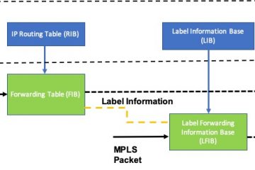 IP and MPLS Packet Operation w.r.t. RIB, FIB, LIB, and LFIB.