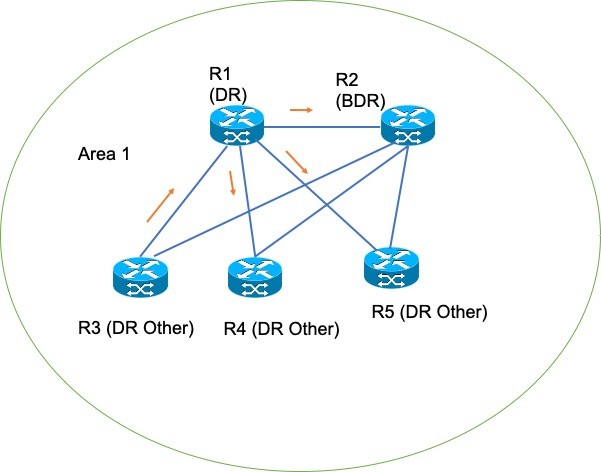 DR and BDR topology view 