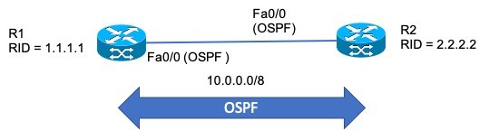 OSPF Basic view